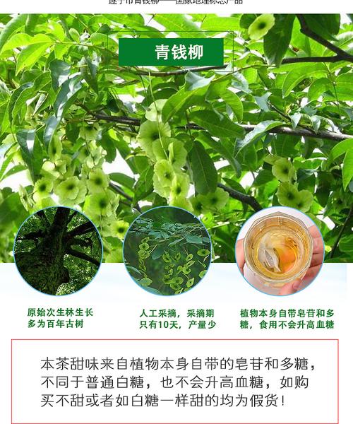 茶香光影——记功唐茶与淘邦美工的茶叶摄影之美